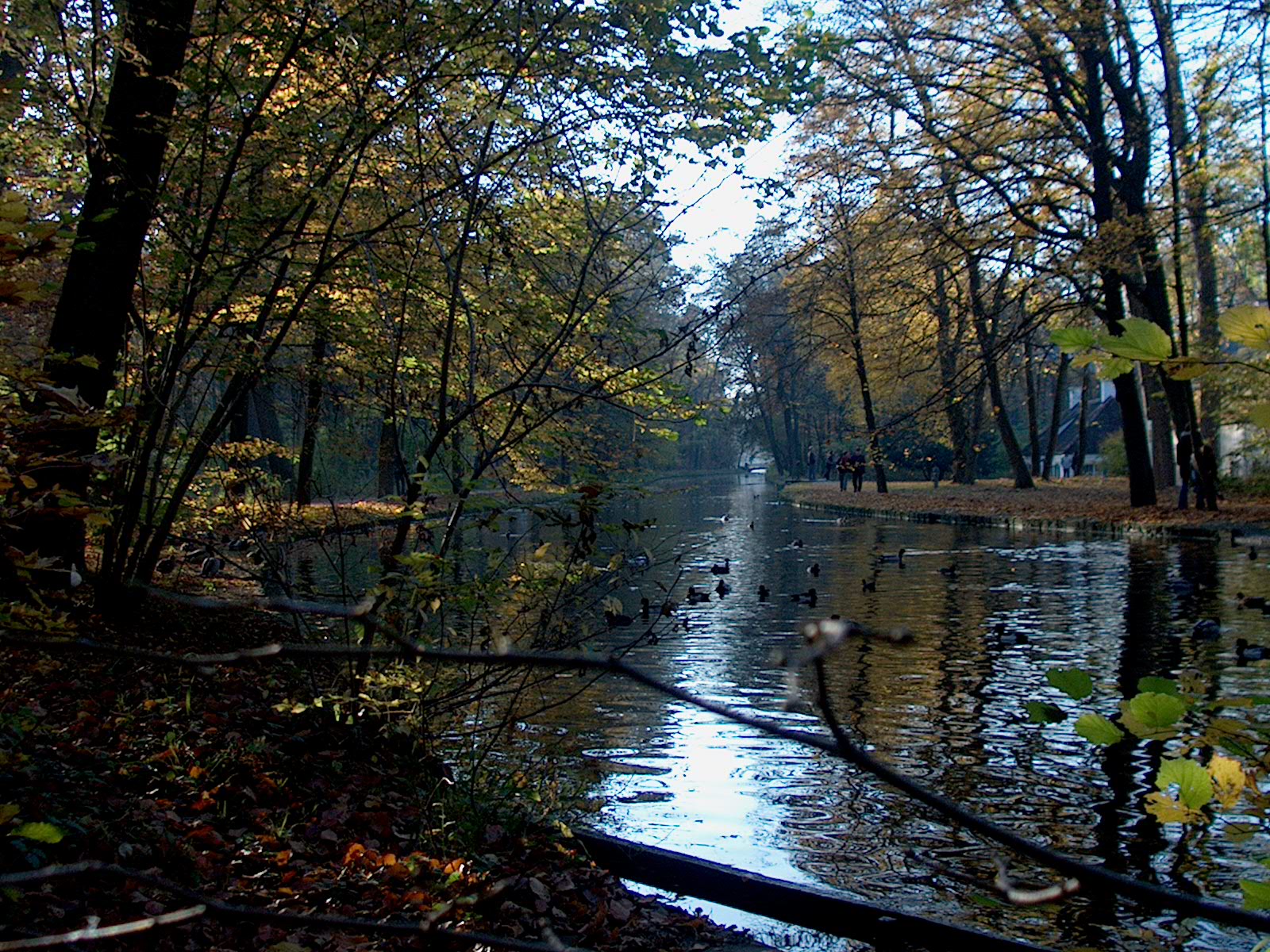 Nyphenburger Park 036 